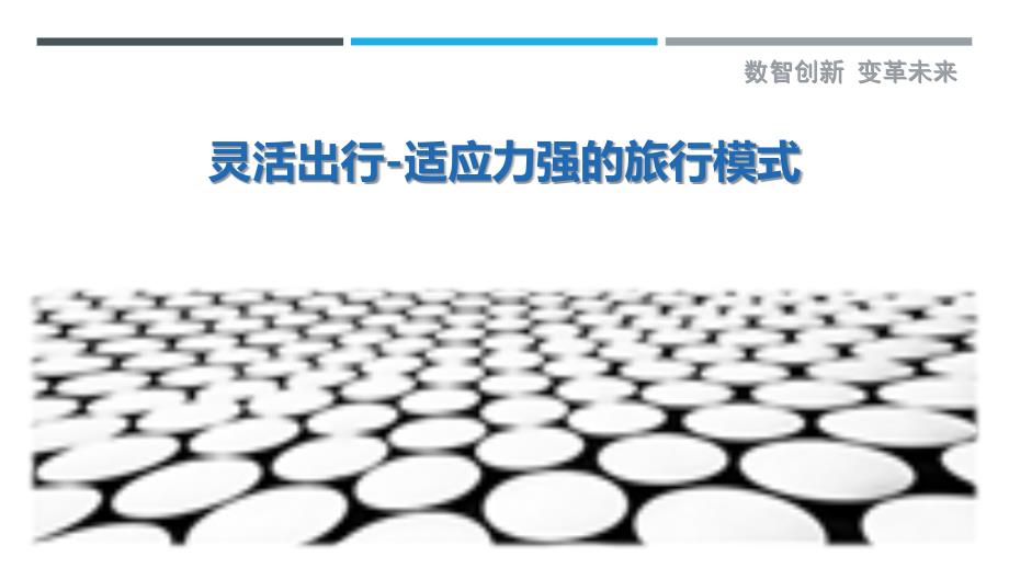 灵活出行-适应力强的旅行模式_第1页