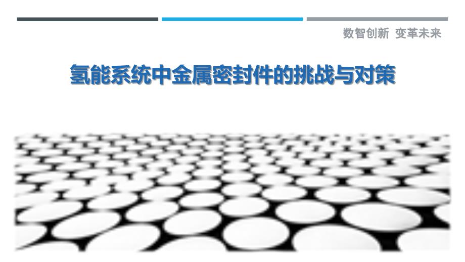 氢能系统中金属密封件的挑战与对策_第1页