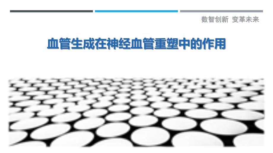 血管生成在神经血管重塑中的作用_第1页