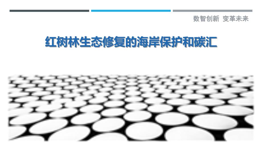 红树林生态修复的海岸保护和碳汇_第1页