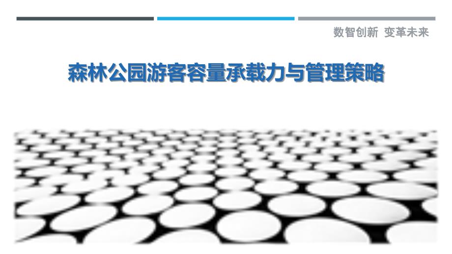 森林公园游客容量承载力与管理策略_第1页