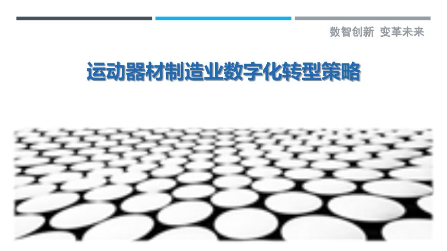 运动器材制造业数字化转型策略_第1页