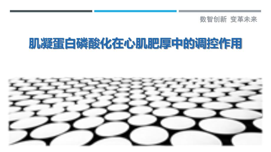 肌凝蛋白磷酸化在心肌肥厚中的调控作用_第1页