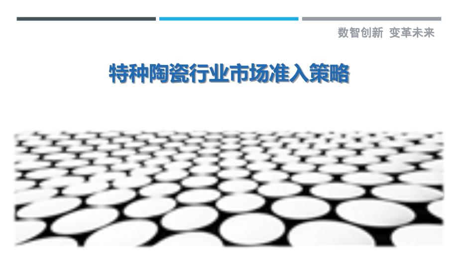 特种陶瓷行业市场准入策略_第1页