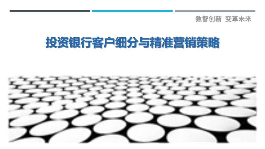 投资银行客户细分与精准营销策略_第1页