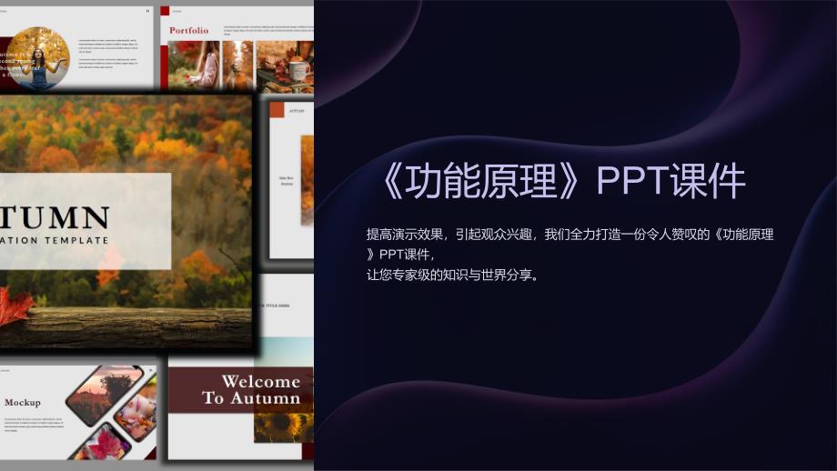 《功能原理》课件_第1页