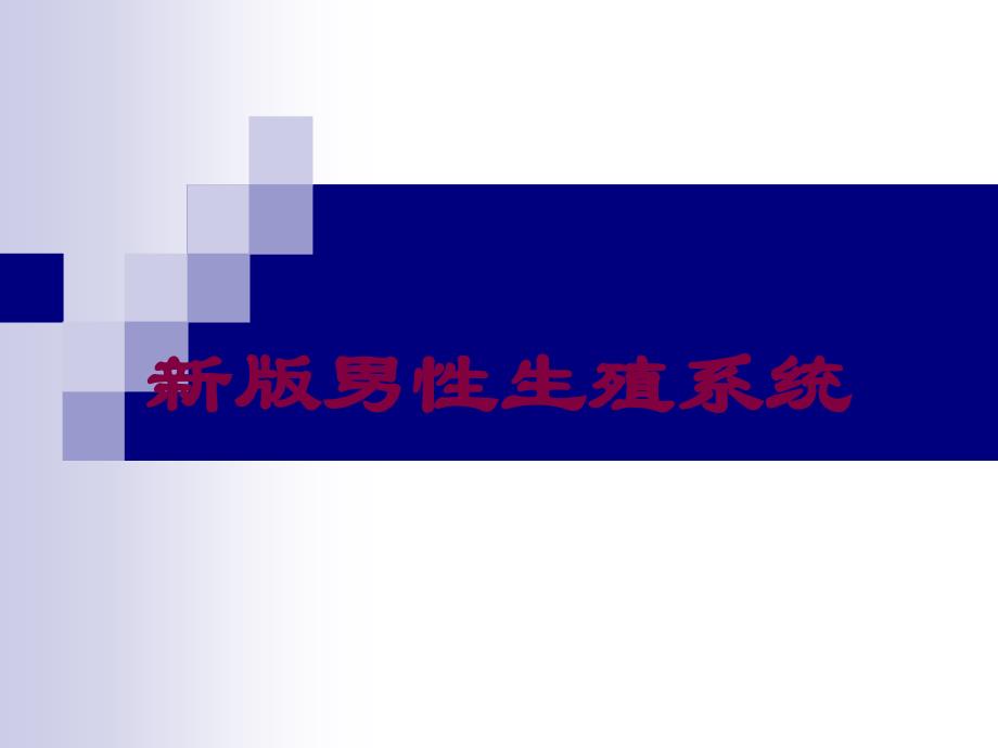 新版男性生殖系统培训课件_第1页