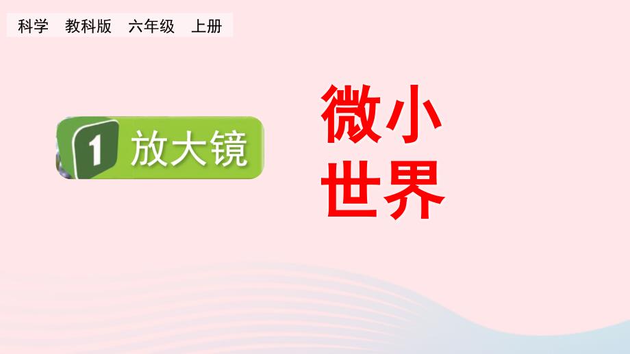 2023六年级科学上册微小世界1.1放大镜精盐件教科版_第1页