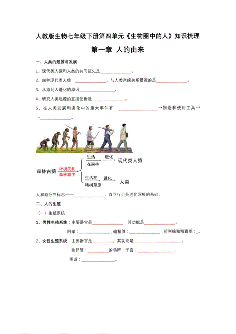 2024年人教版七级下册生物章节知识总结（学生版）_第1页