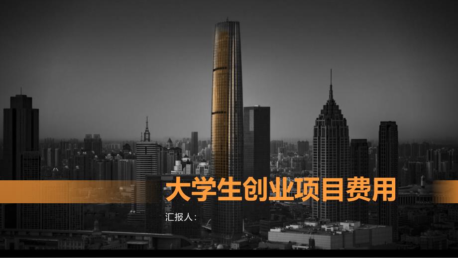 大学生创业项目费用项目(参考模板)_第1页