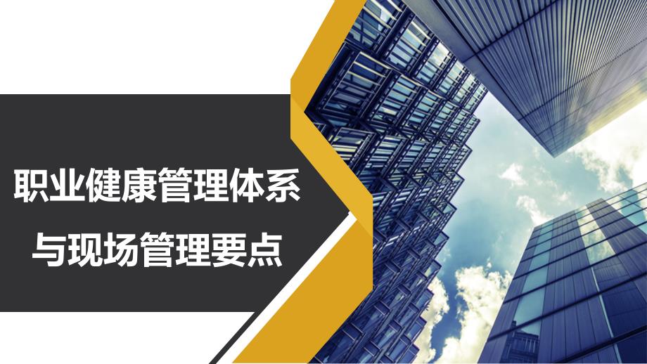 职业健康管理体系与现场管理要点_第1页