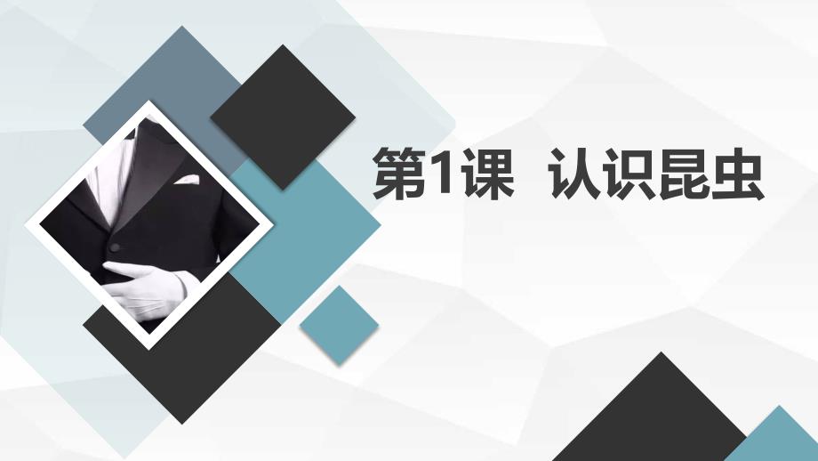 最新通用版小学三年级上册综合实践活动 第1课 认识昆虫（课件）_第1页