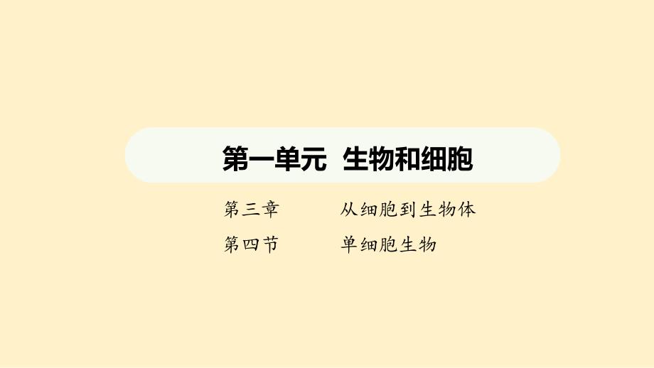单细胞生物课件 2024-2025学年人教版生物七年级上册_第1页