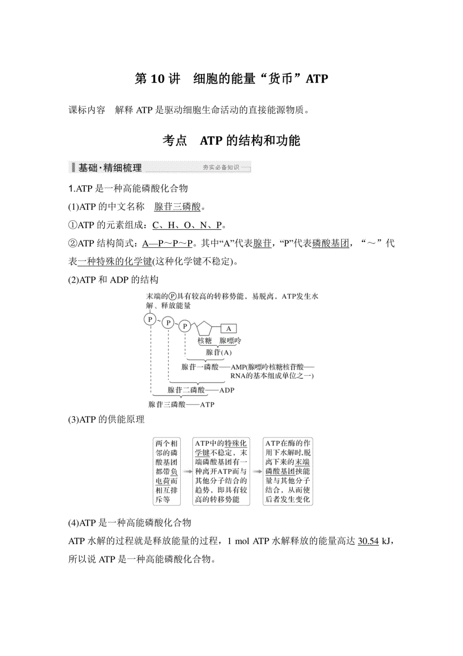2025高考生物总复习：细胞的能量“货币”ATP_第1页