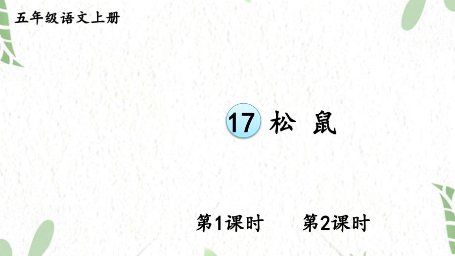 五年级语文人教部编版（上册）17 松鼠_第1页