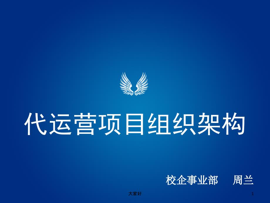 信雅达电商代运营项目组织架构-PPT_第1页