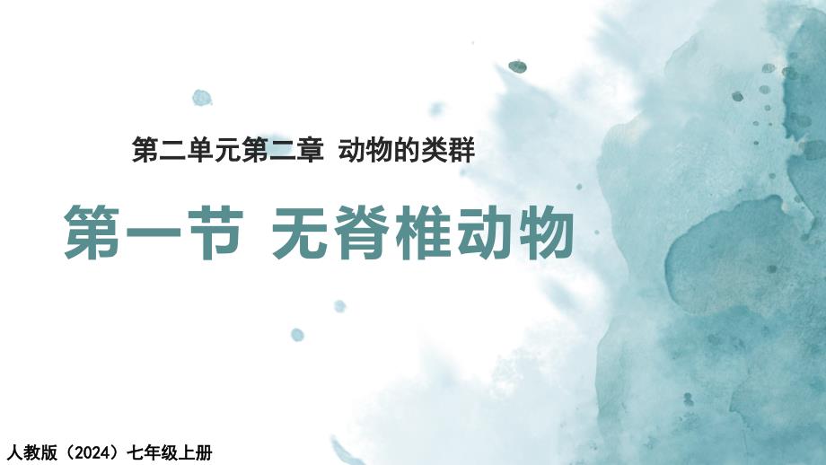无脊椎动物 教学课件-2024-2025学年人教版（2024）生物七年级上册_第1页
