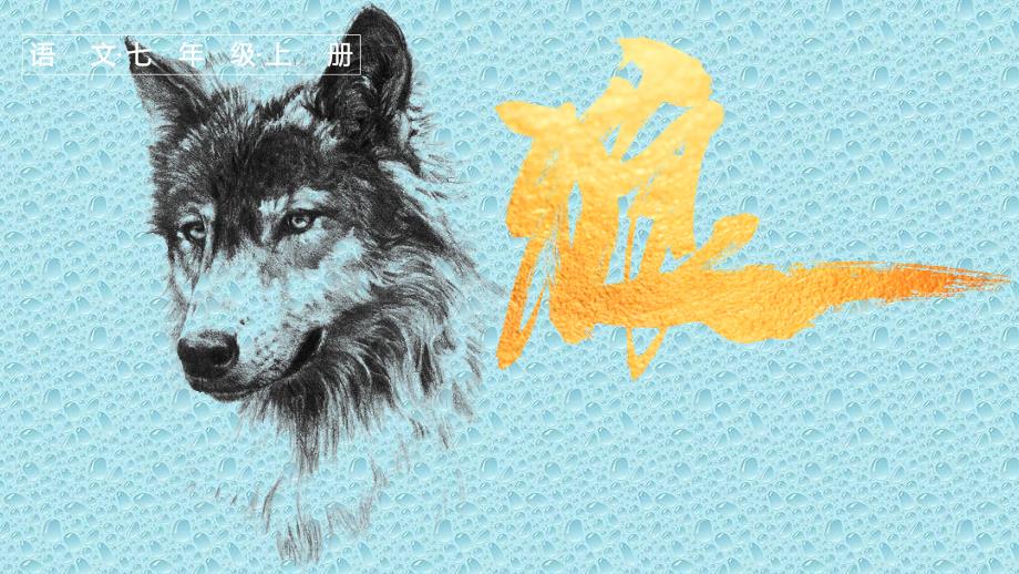 [初中语文++]+第20课《狼》课件+统编版语文七年级上册_第1页