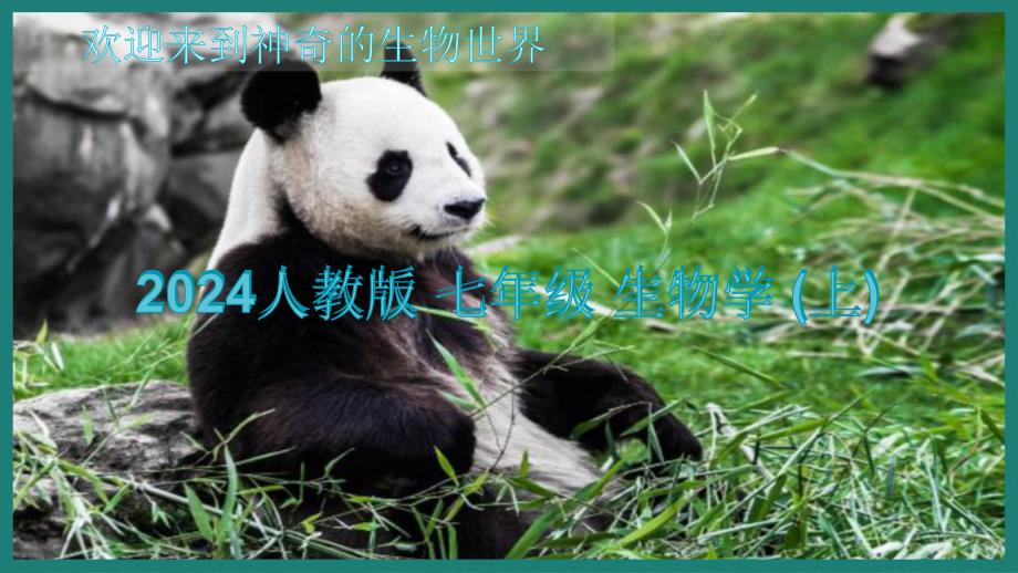 观察周边环境中的生物 课件 2024-2025学年人教版七年级上册生物_第1页