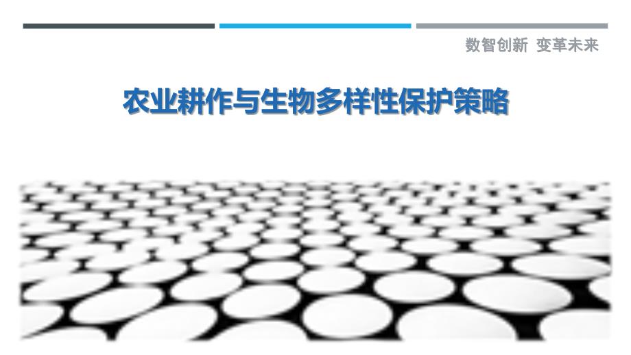 农业耕作与生物多样性保护策略-剖析洞察_第1页