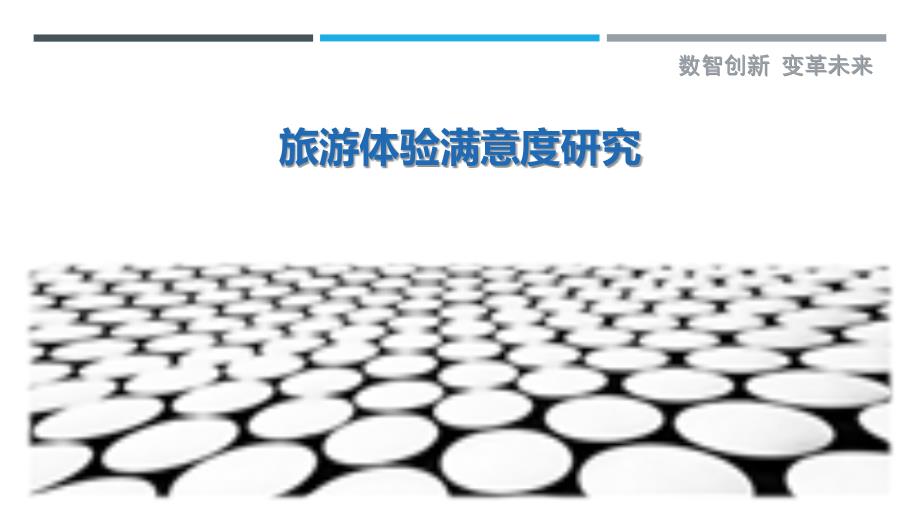 旅游体验满意度研究-剖析洞察_第1页
