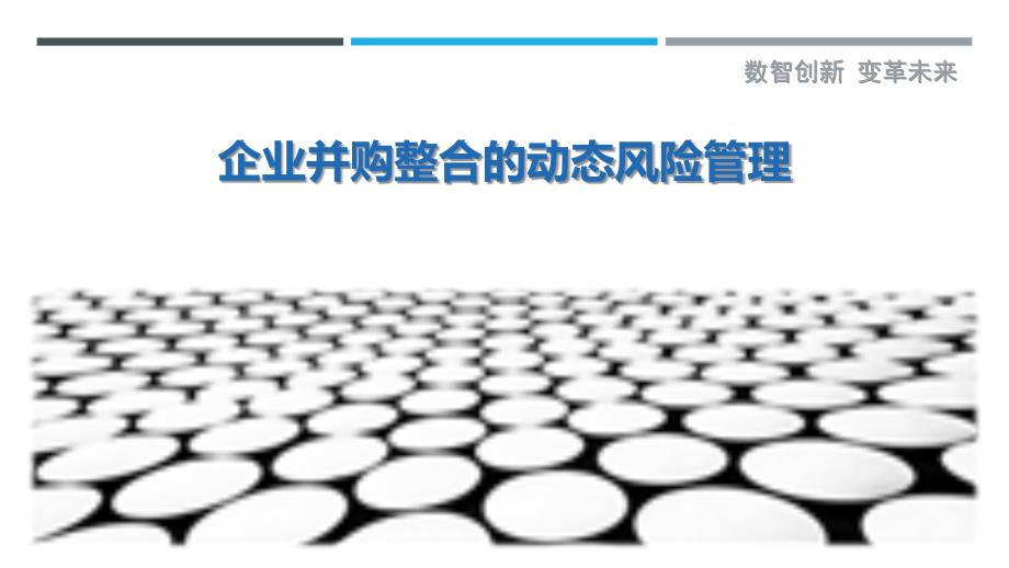 企业并购整合的动态风险管理-剖析洞察_第1页