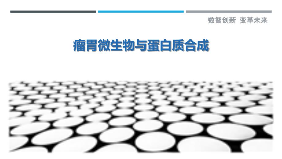 瘤胃微生物与蛋白质合成-剖析洞察_第1页