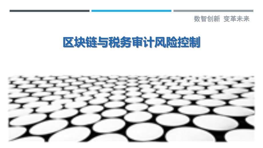 区块链与税务审计风险控制-剖析洞察_第1页