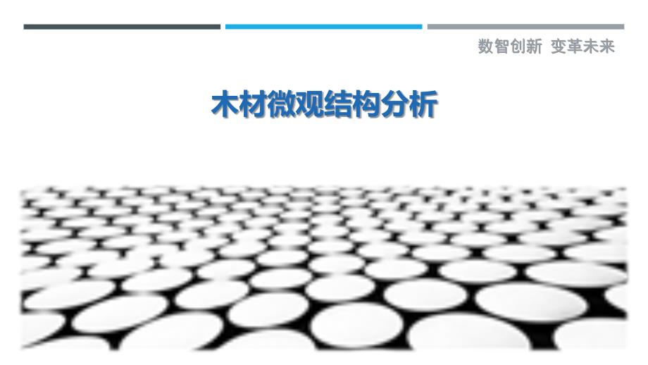 木材微观结构分析-第1篇-剖析洞察_第1页