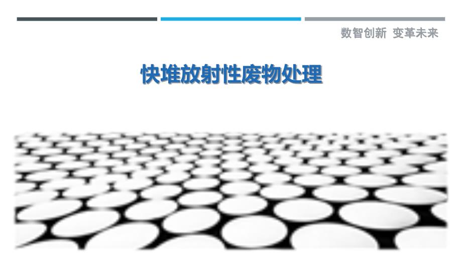 快堆放射性废物处理-剖析洞察_第1页