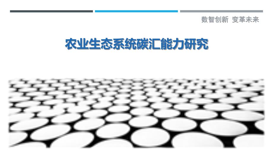 农业生态系统碳汇能力研究-剖析洞察_第1页