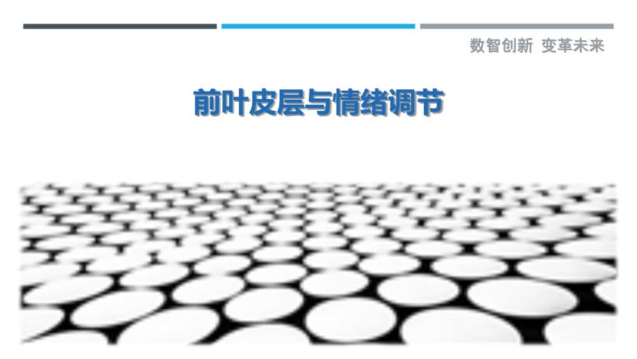 前叶皮层与情绪调节-剖析洞察_第1页
