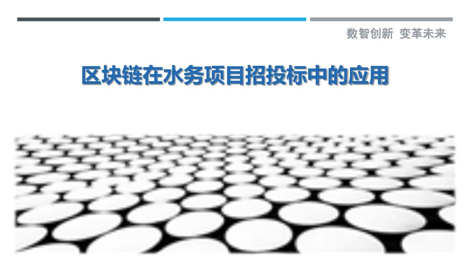 区块链在水务项目招投标中的应用-剖析洞察_第1页