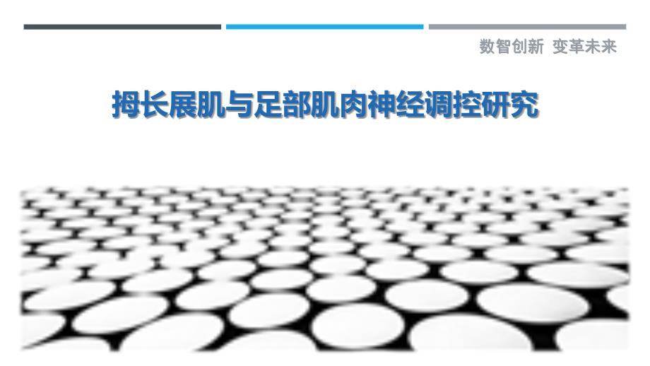 拇长展肌与足部肌肉神经调控研究-剖析洞察_第1页