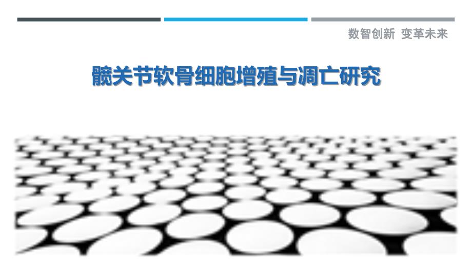 髋关节软骨细胞增殖与凋亡研究-剖析洞察_第1页