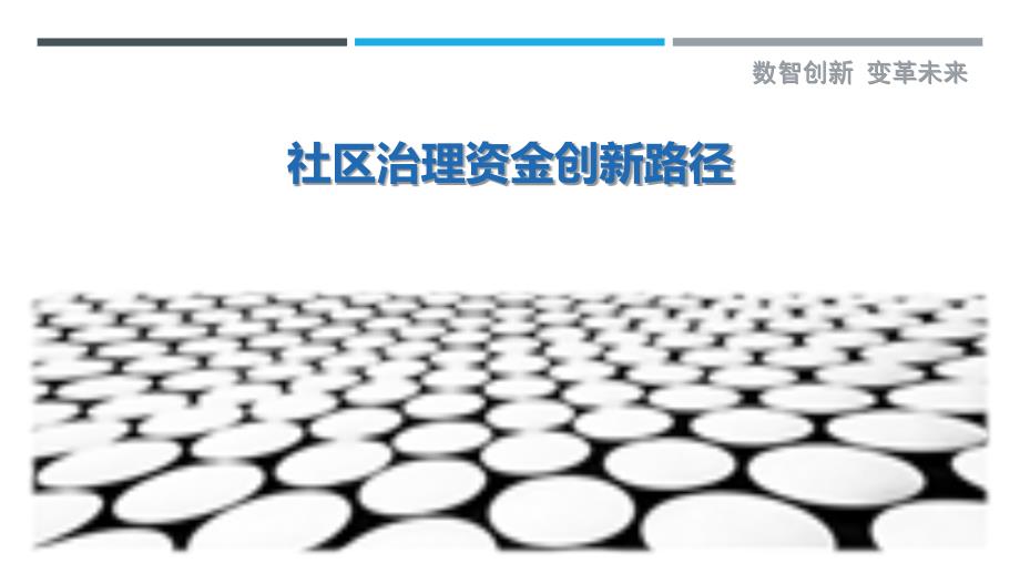 社区治理资金创新路径-剖析洞察_第1页