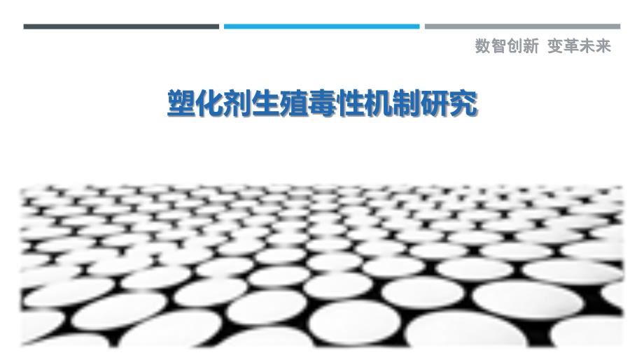 塑化剂生殖毒性机制研究-剖析洞察_第1页