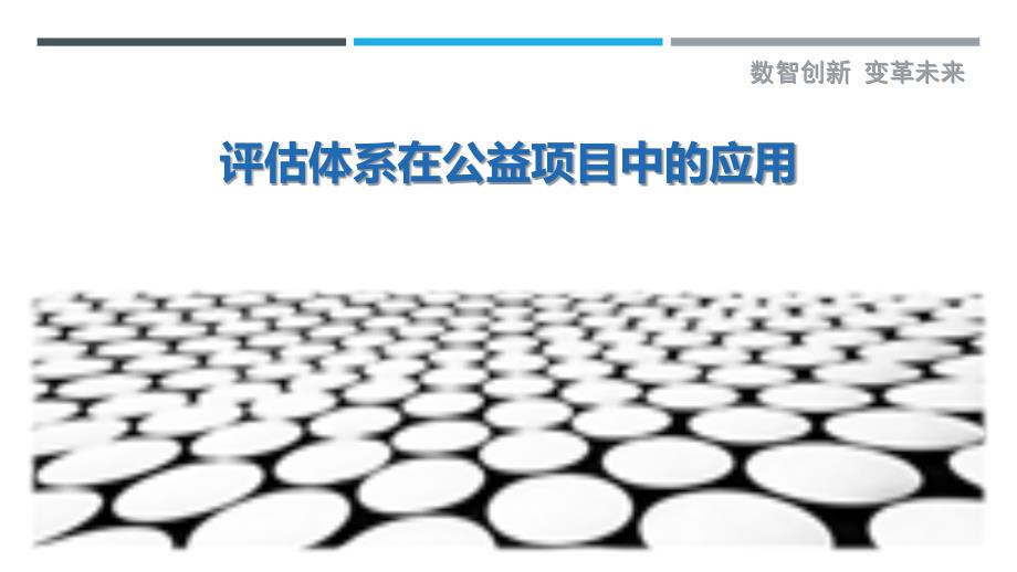 评估体系在公益项目中的应用-剖析洞察_第1页
