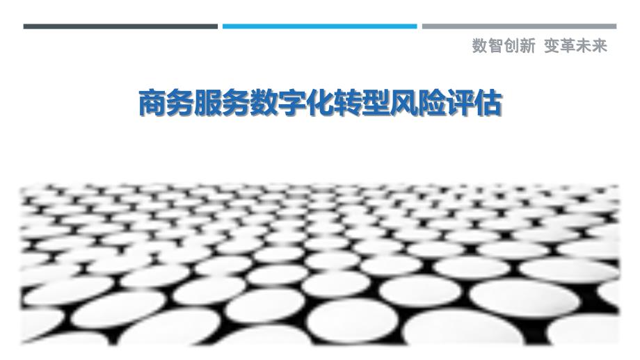 商务服务数字化转型风险评估-剖析洞察_第1页