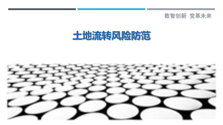 土地流转风险防范-剖析洞察_第1页
