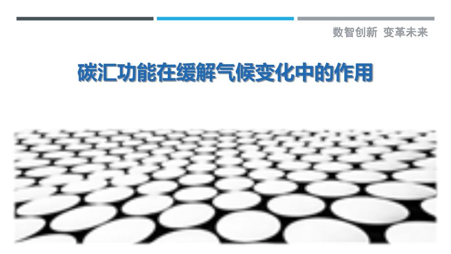 碳汇功能在缓解气候变化中的作用-剖析洞察_第1页