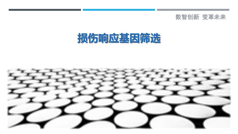 损伤响应基因筛选-剖析洞察_第1页