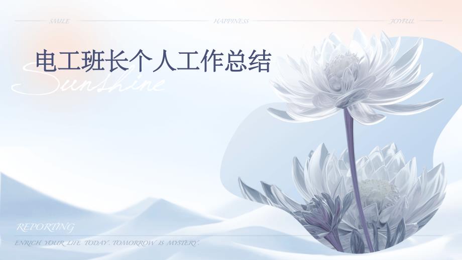 电工班长个人工作总结PPT_第1页