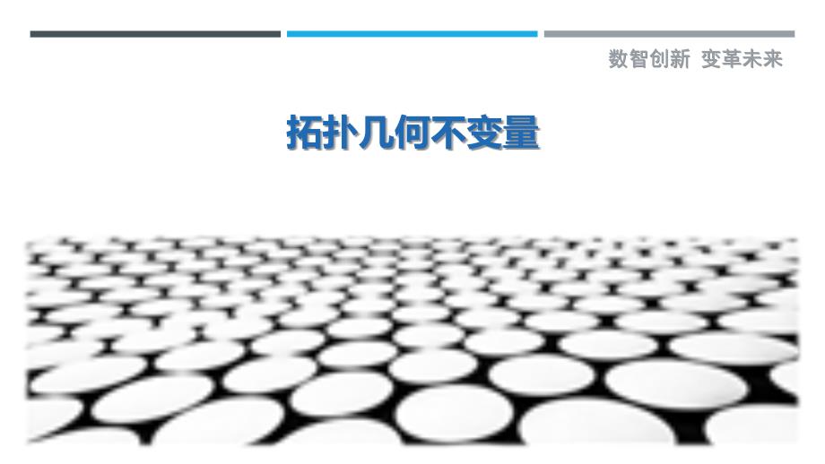 拓扑几何不变量-剖析洞察_第1页