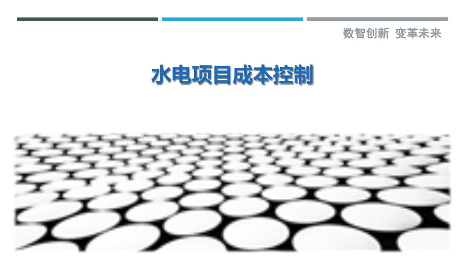 水电项目成本控制-剖析洞察_第1页