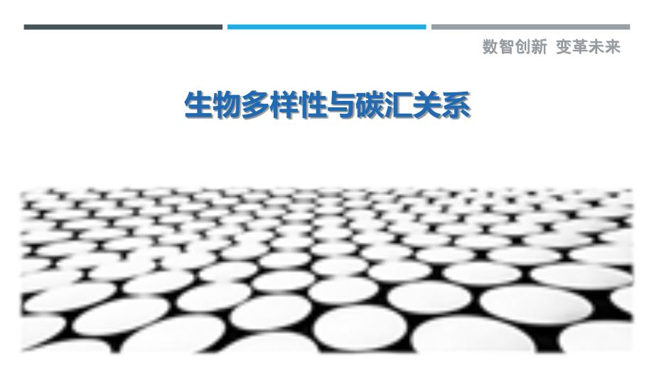 生物多样性与碳汇关系-剖析洞察_第1页