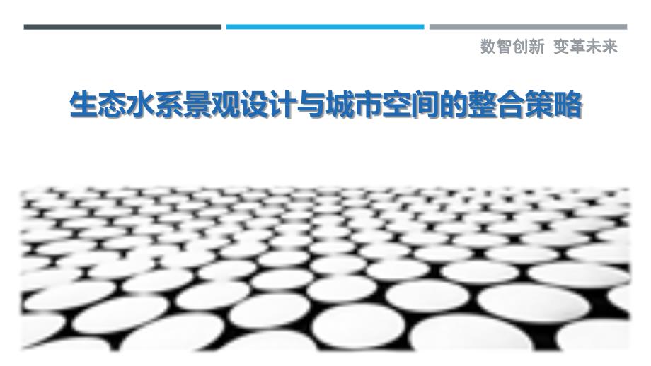 生态水系景观设计与城市空间的整合策略-剖析洞察_第1页