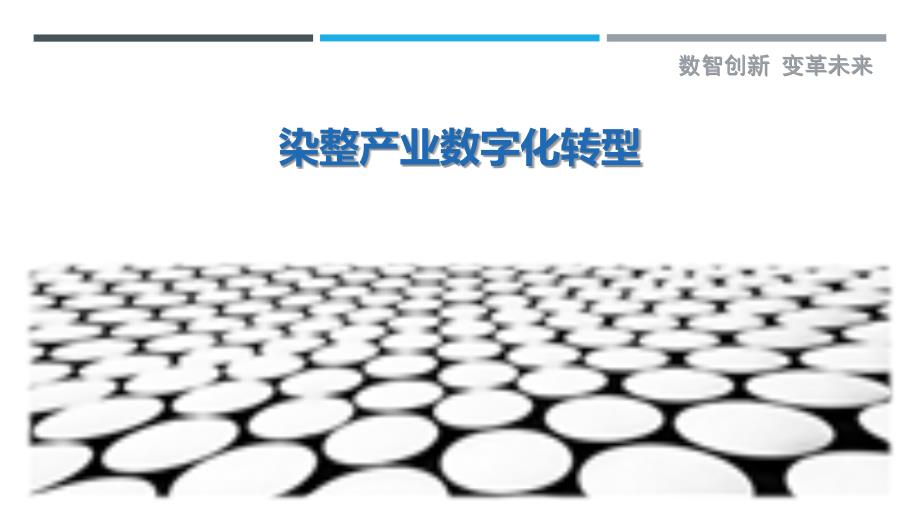 染整产业数字化转型-剖析洞察_第1页