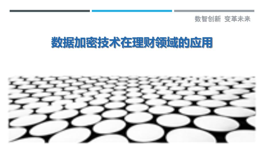 数据加密技术在理财领域的应用-剖析洞察_第1页