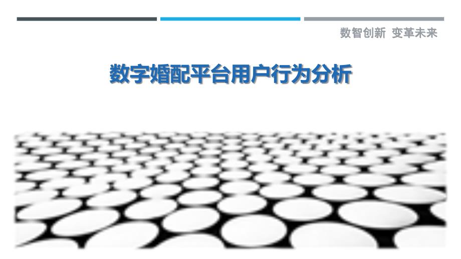数字婚配平台用户行为分析-剖析洞察_第1页